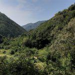Rio Carne, panorama - Foto Ugo Roffi